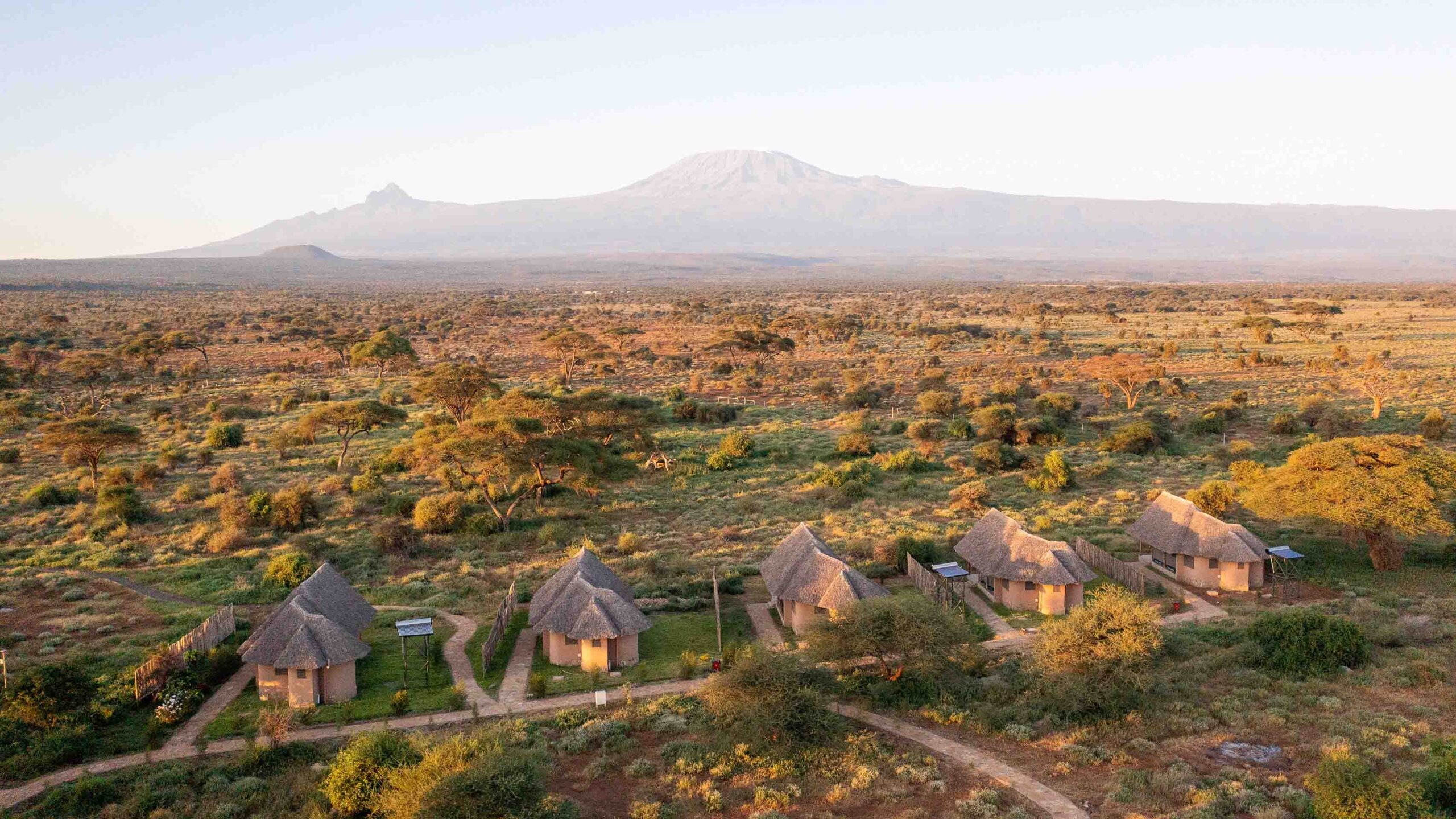 Oilepo Amboseli - image 1