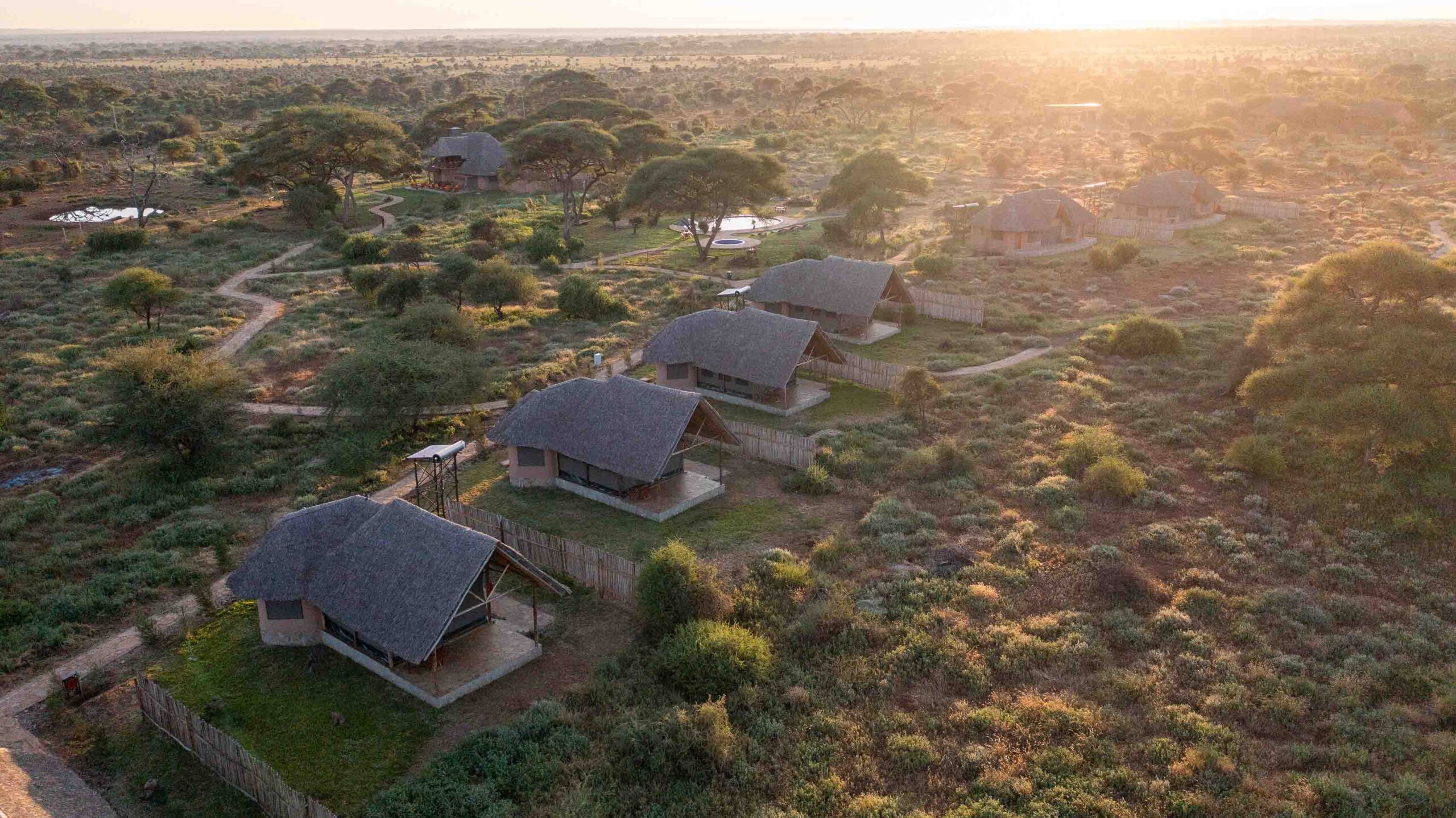 Oilepo Amboseli - image 3