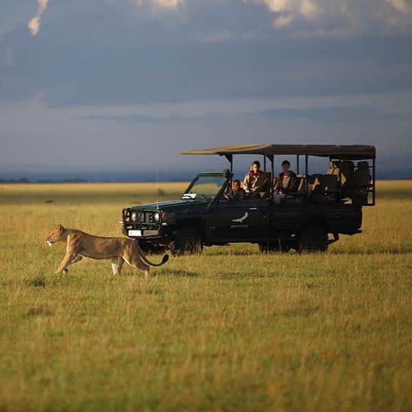 Serengeti National Reserve scenery