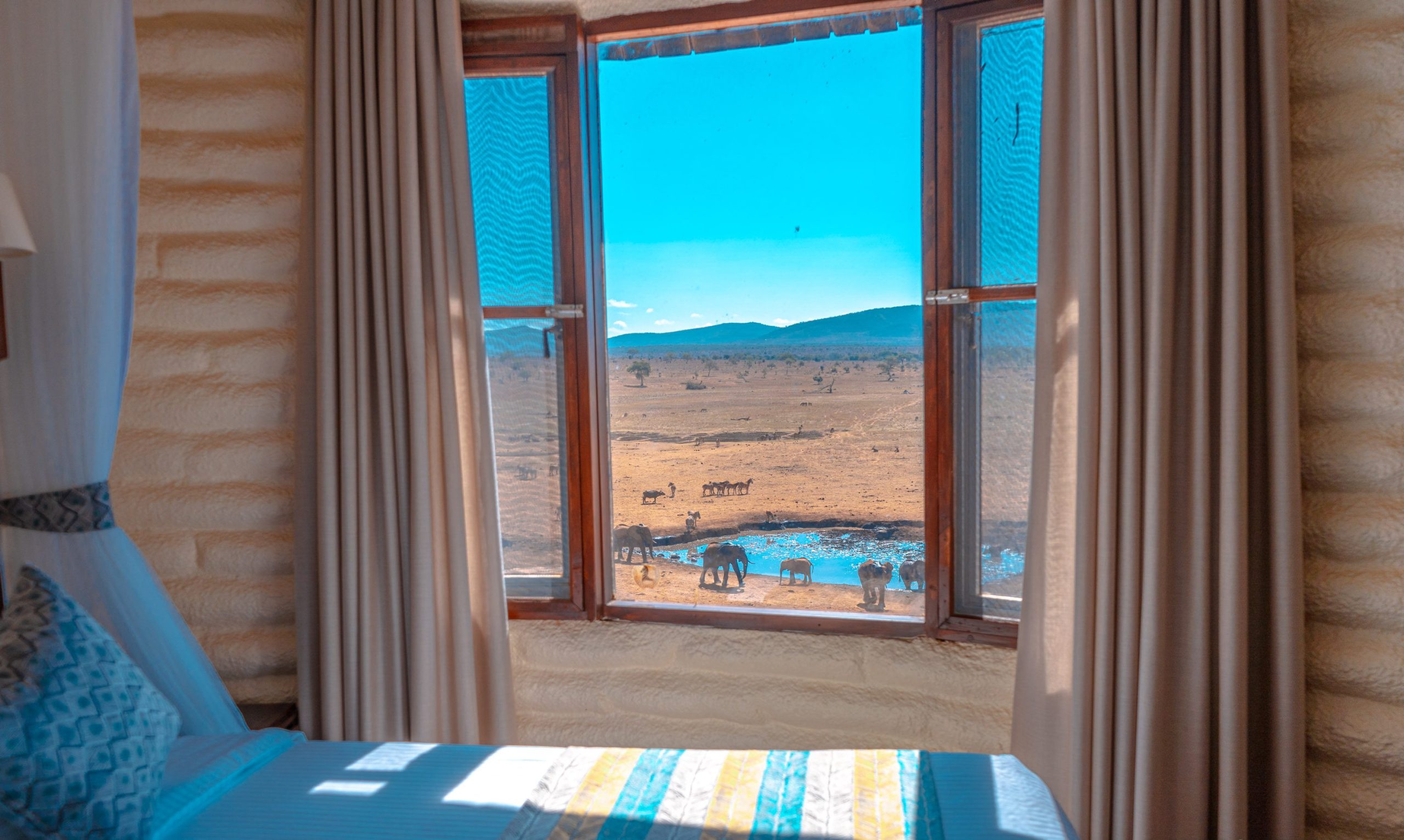 Waterhole View Room