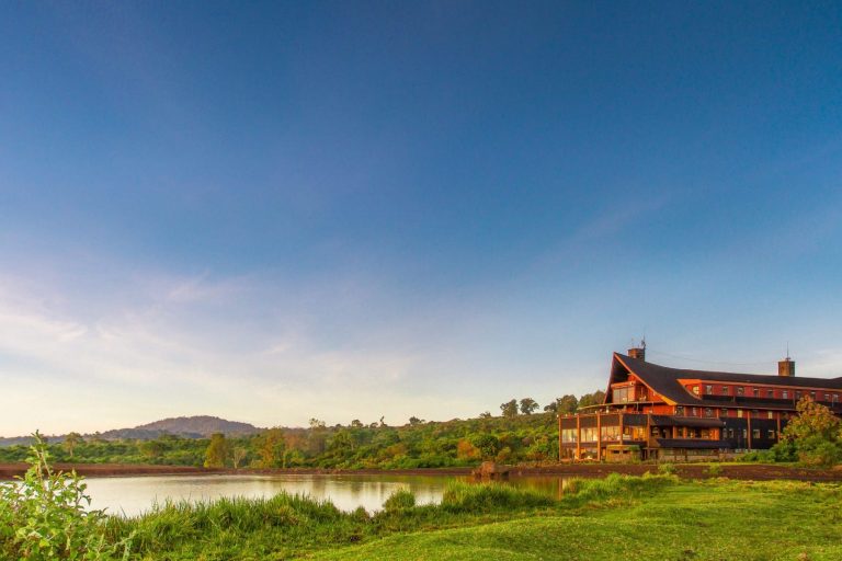 The Ark Lodge tree house