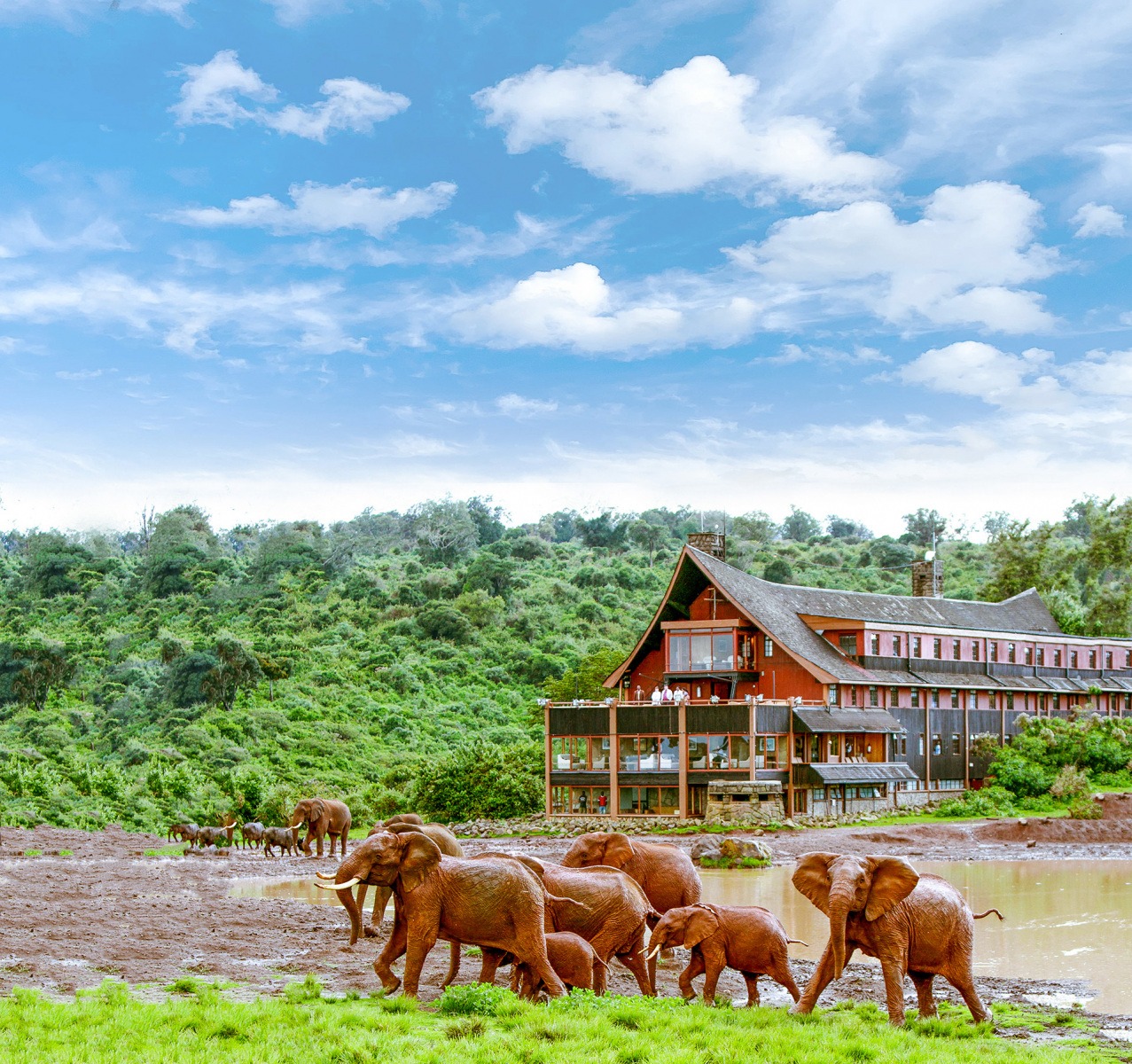The Ark Lodge - image 7