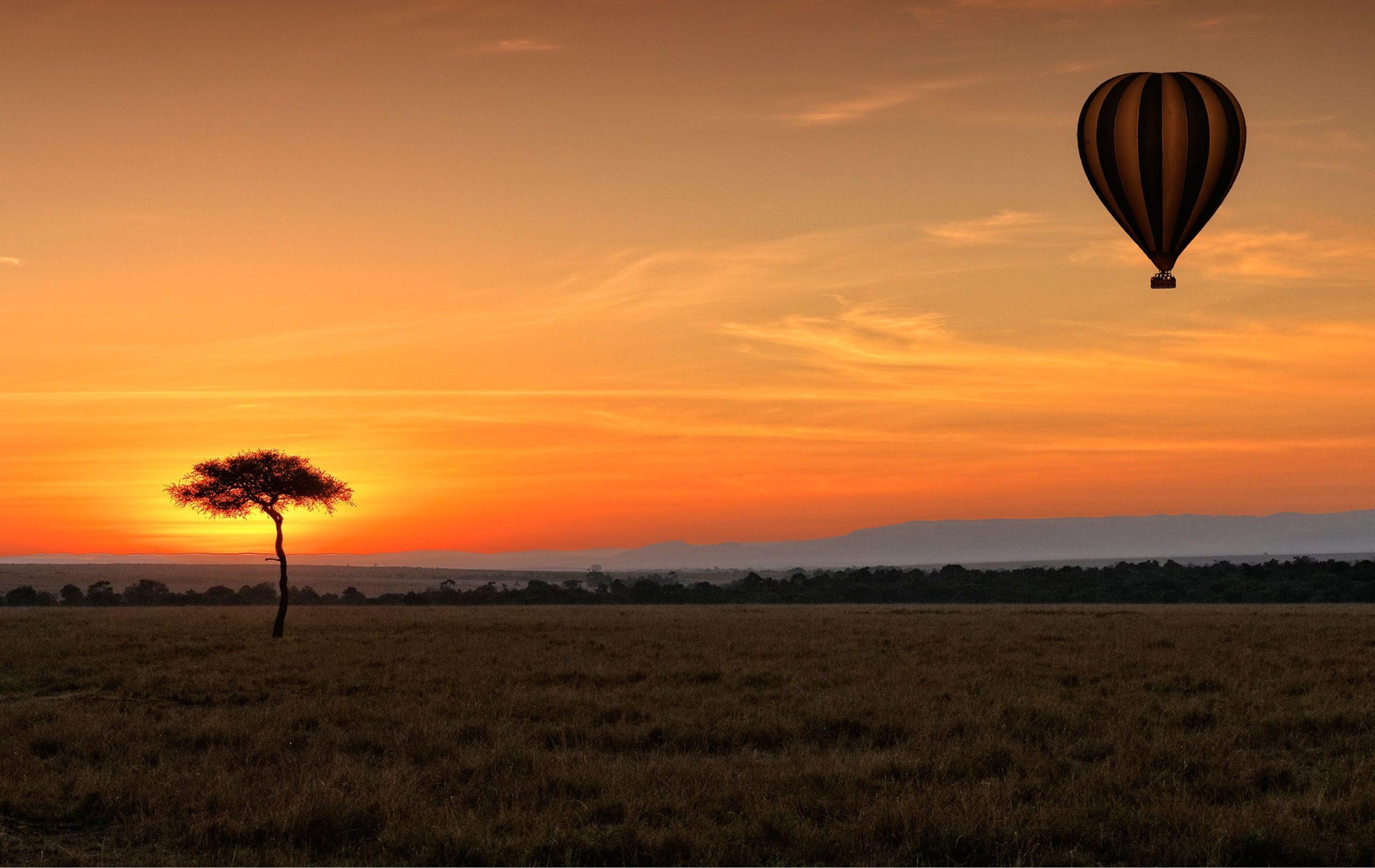 Soroi Luxury Migration Camp - image 5