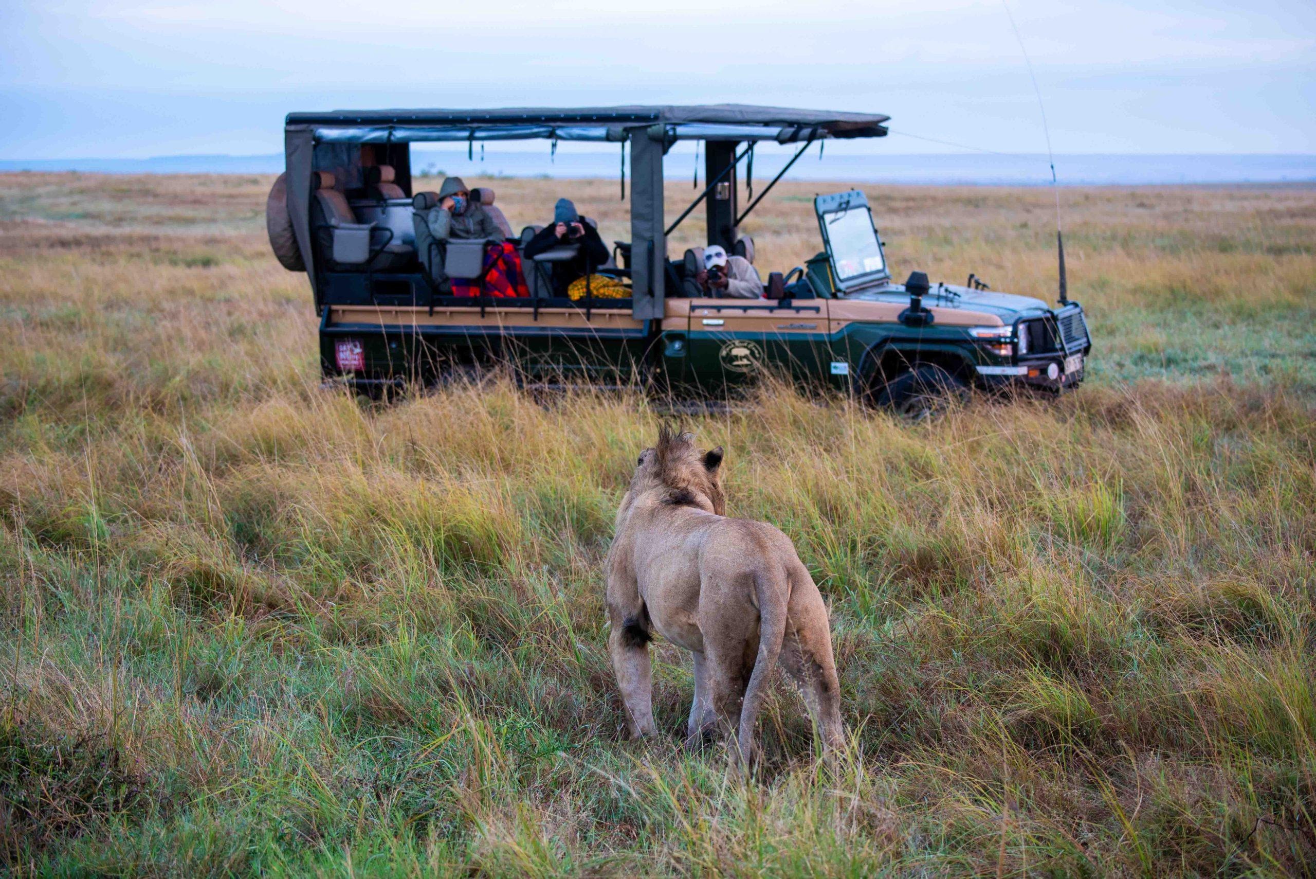 Game Drives