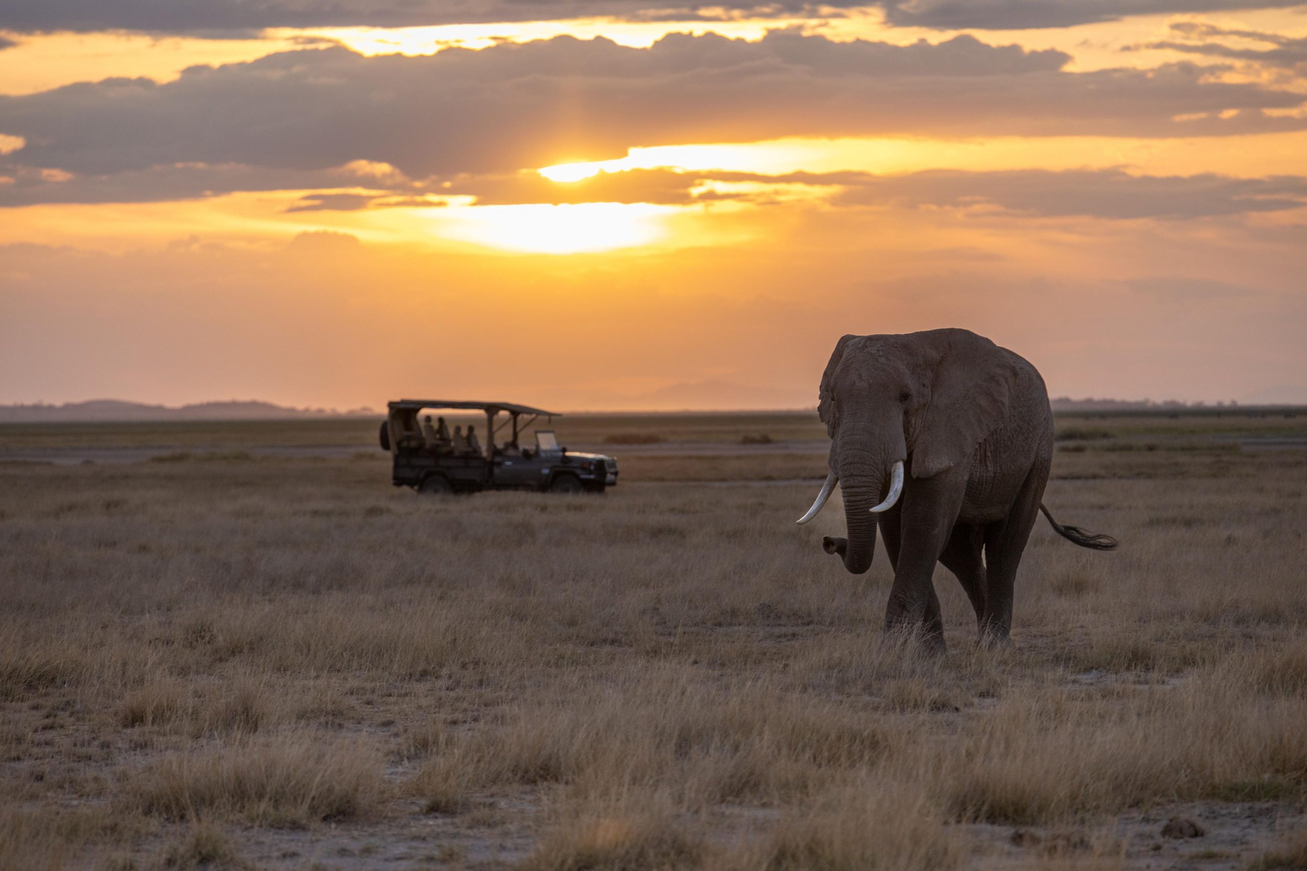 Game Drives