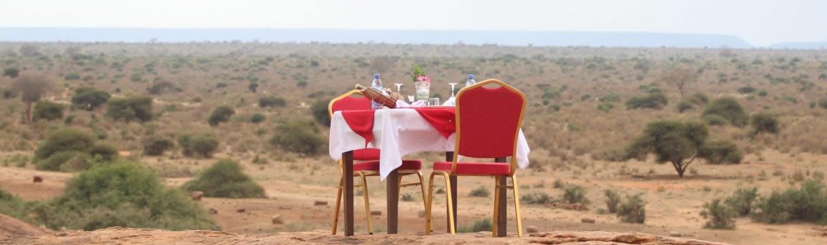 Bush Lunches and Dinners