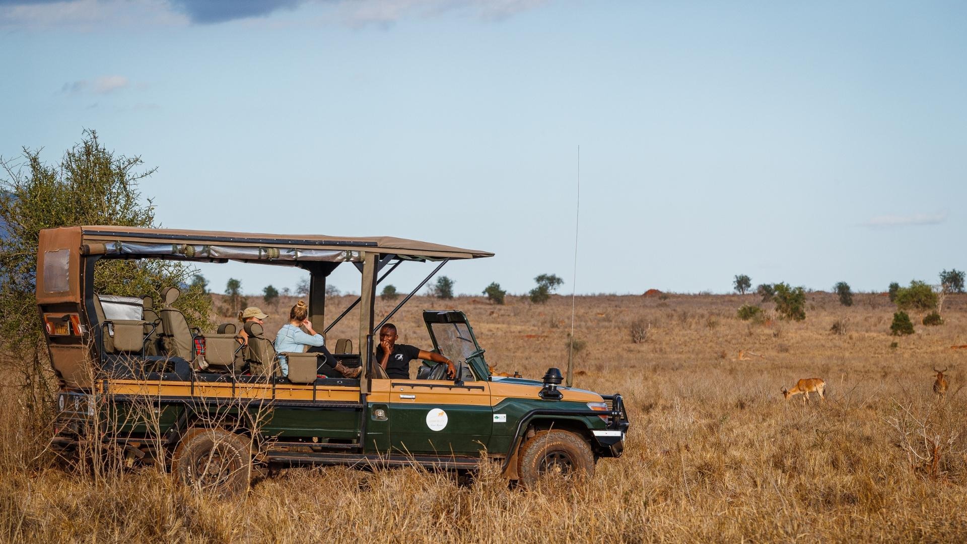 Day Game Drives