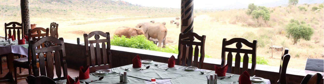 Ngulia Safari Lodge - image 1