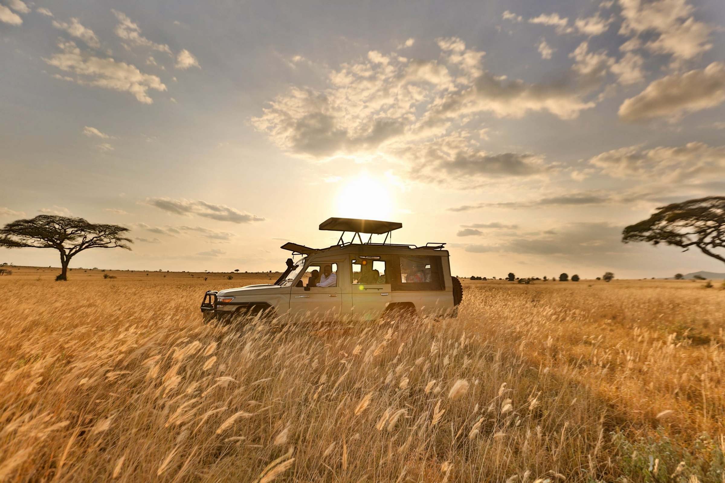 Game Drives