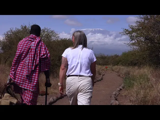 Guided Bush Walks