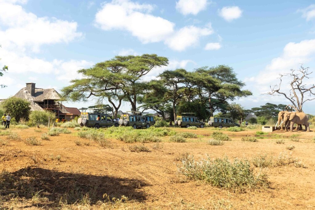 Amboseli Game Drives
