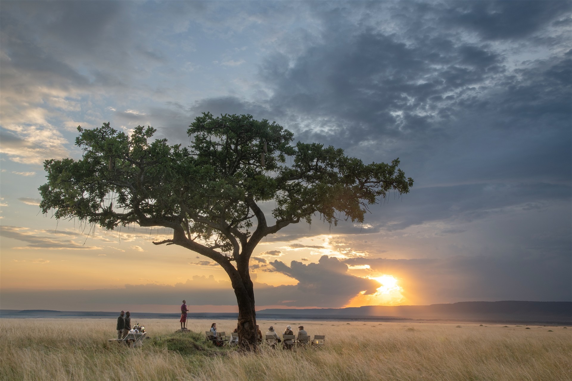 Bush Dining 