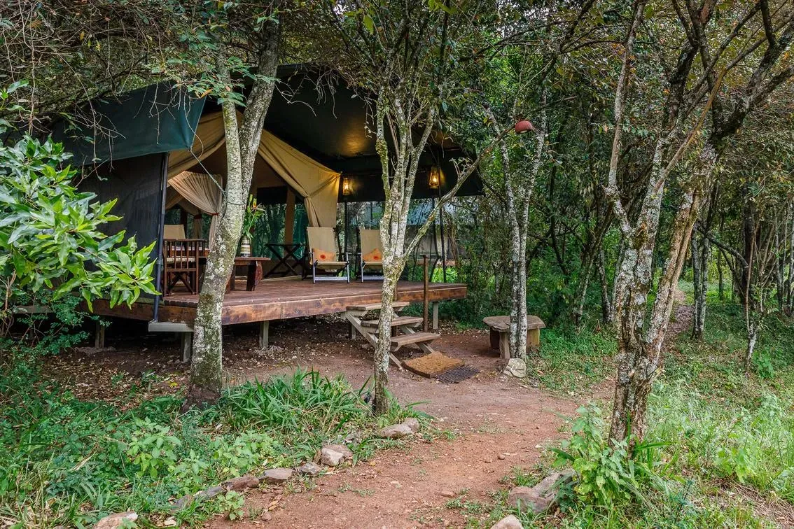 Soroi Mara Bush Camp - image 4