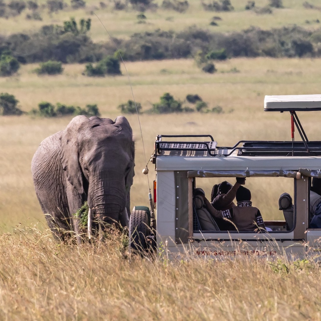 Game Drives