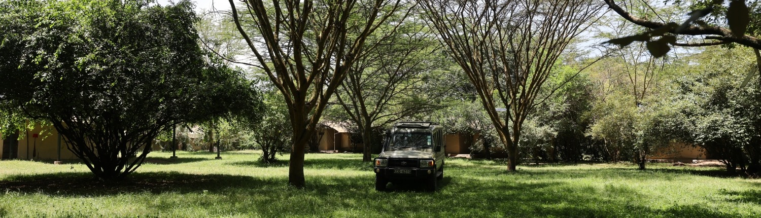 Day Game Drives