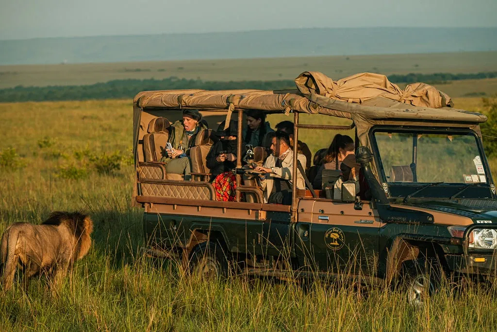 Twice-Daily Game Drives