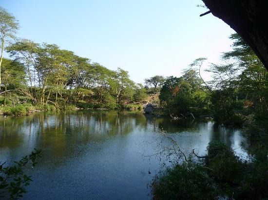 Mzima Springs