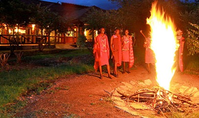 Guided Walking Safari