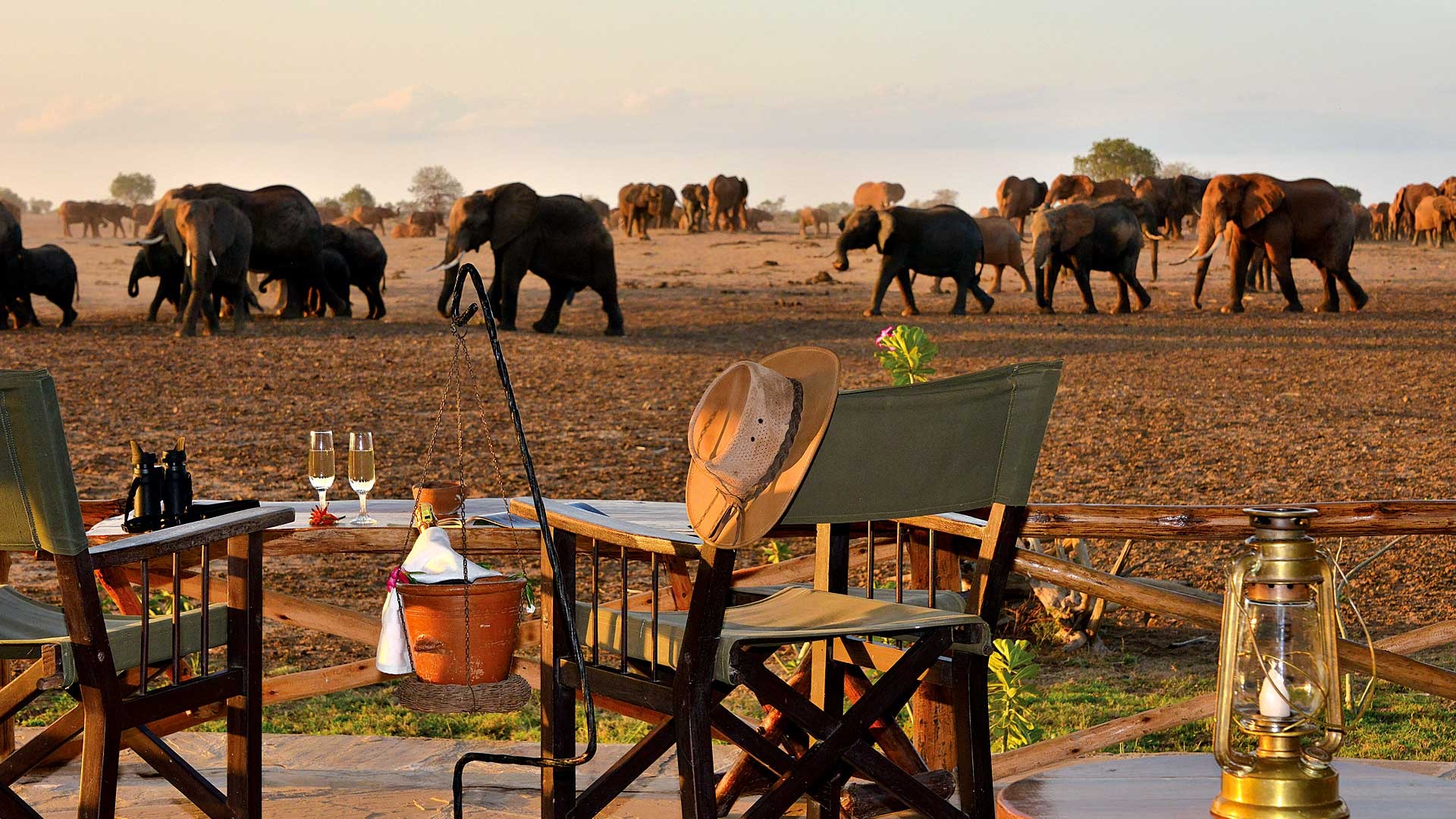 Satao Camp - image 11