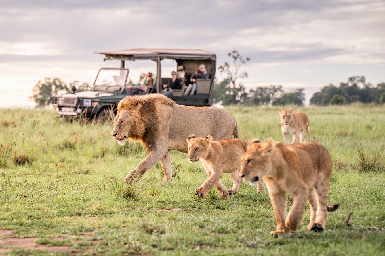 Game Drives, Musiara and Sekenani Sectors