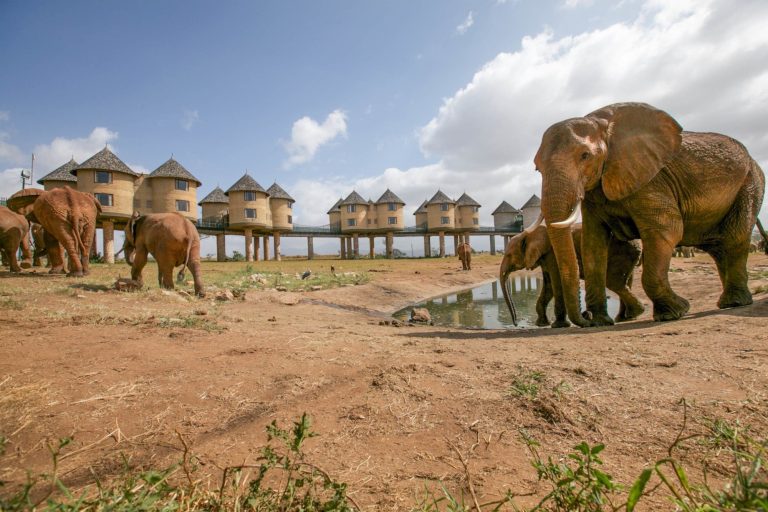 Taita Hills, Kenya
