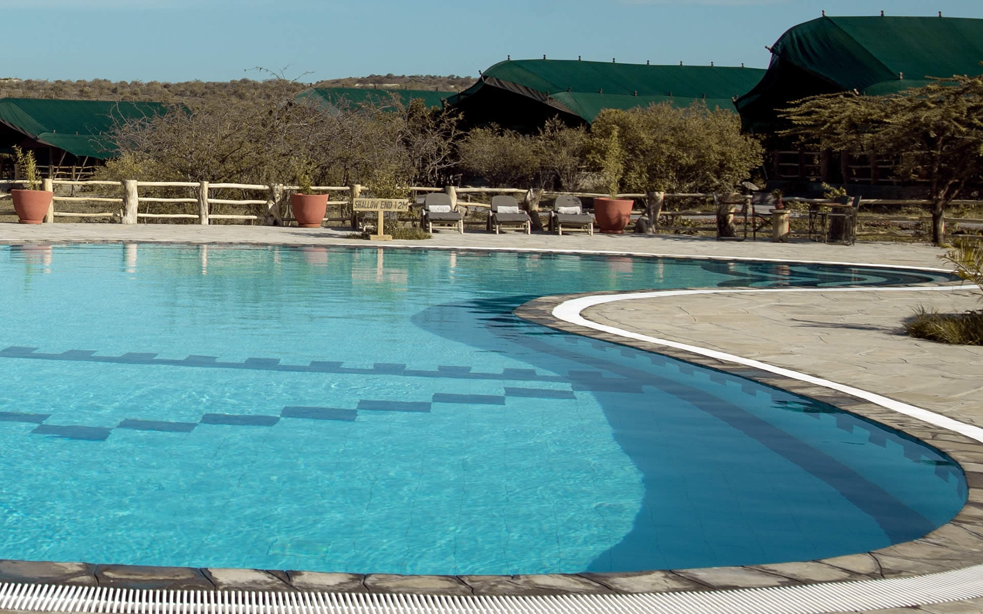 Swimming Pool and Spa