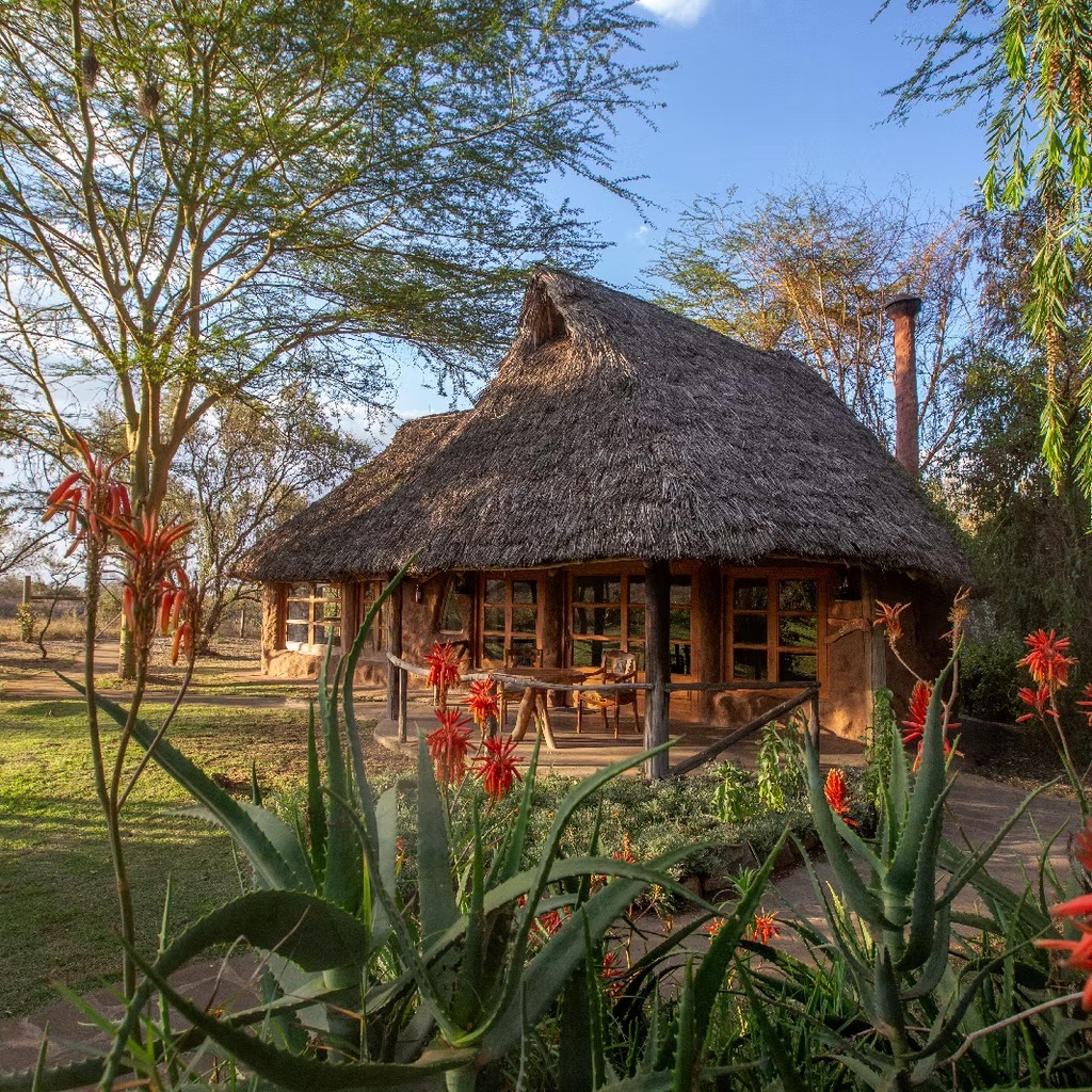 Chui Lodge - image 6