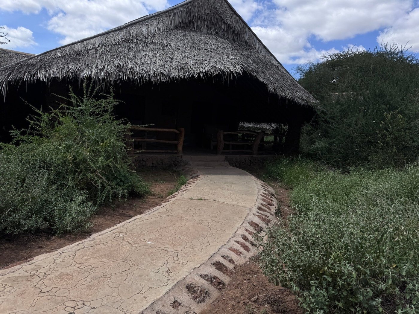 Kibo Safari Camp - image 7