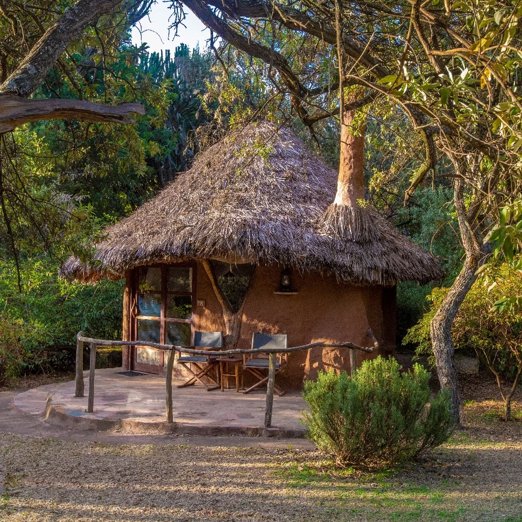 Chui Lodge - image 9