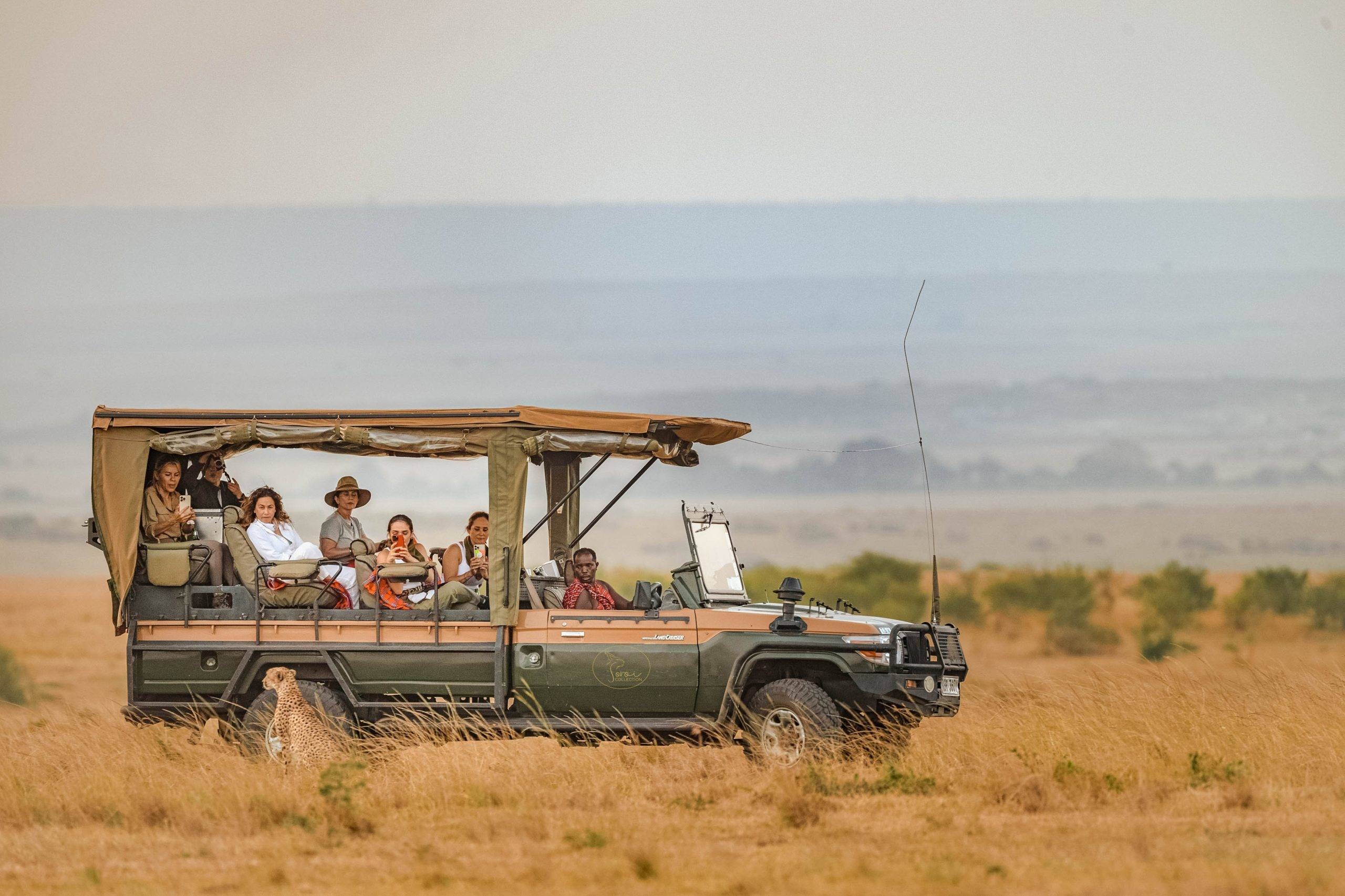 Game Drives  