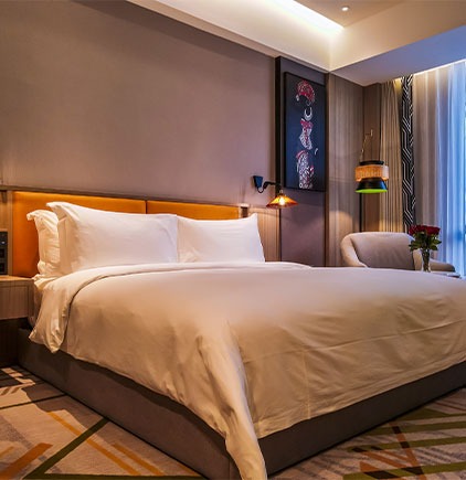 Argyle Grand Hotel - image 1