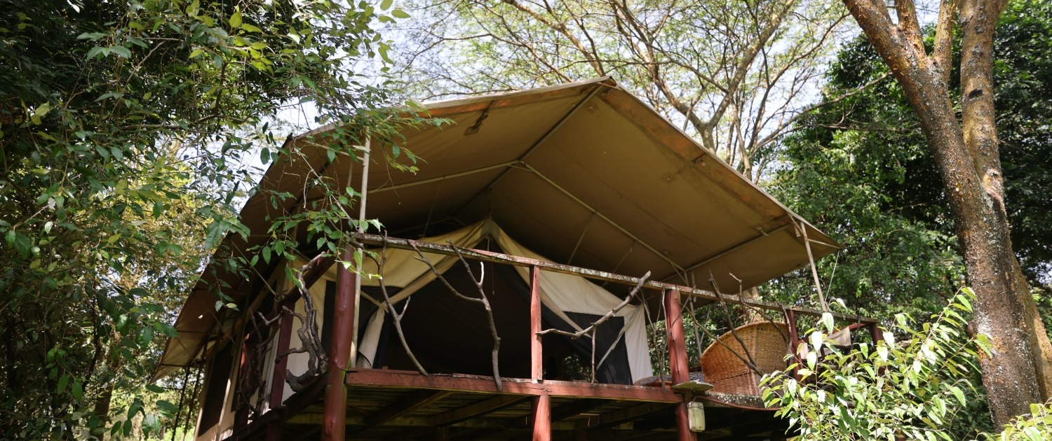 Olumara Camp - image 1