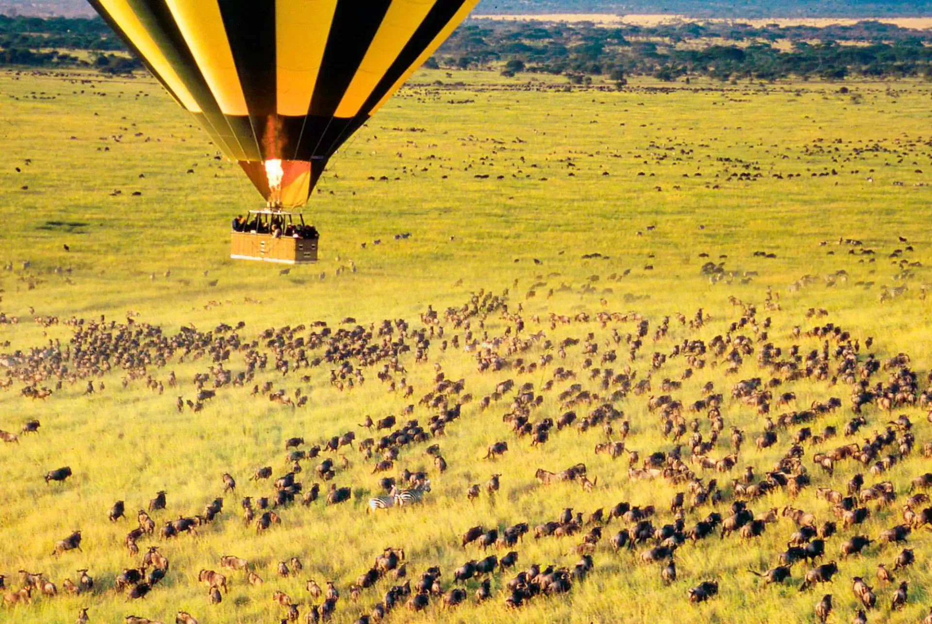 Hot Air Balloon Safari