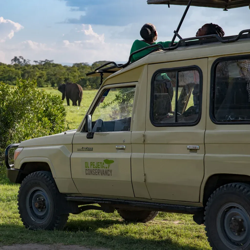 Ol Pejeta Conservancy — Ol Pejeta Conservancy