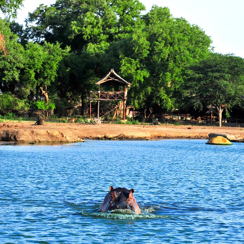 Satao Camp - image 7