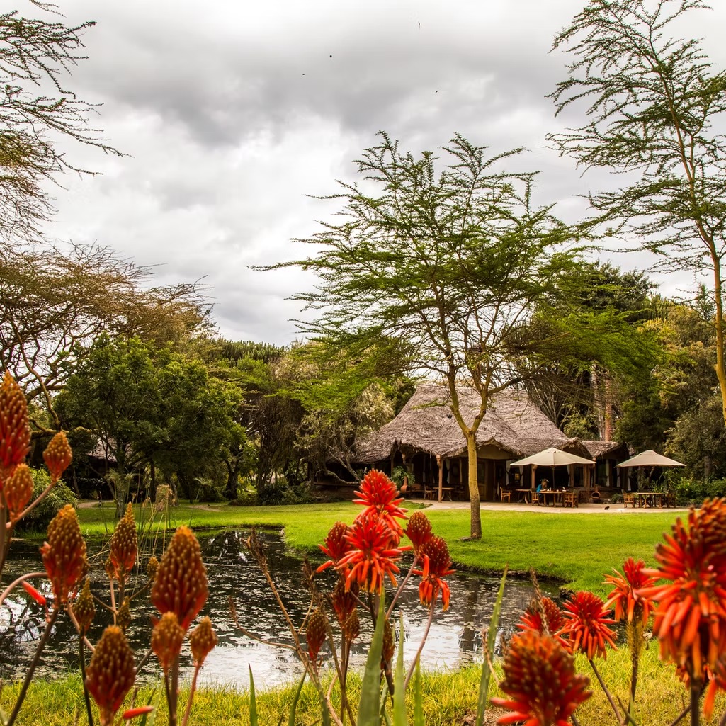 Chui Lodge - image 12