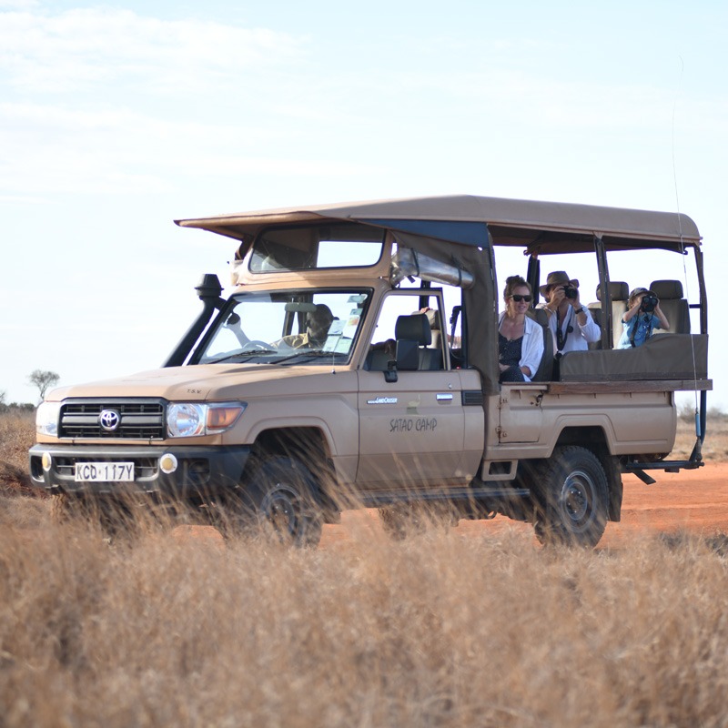 Big Five Game Drives