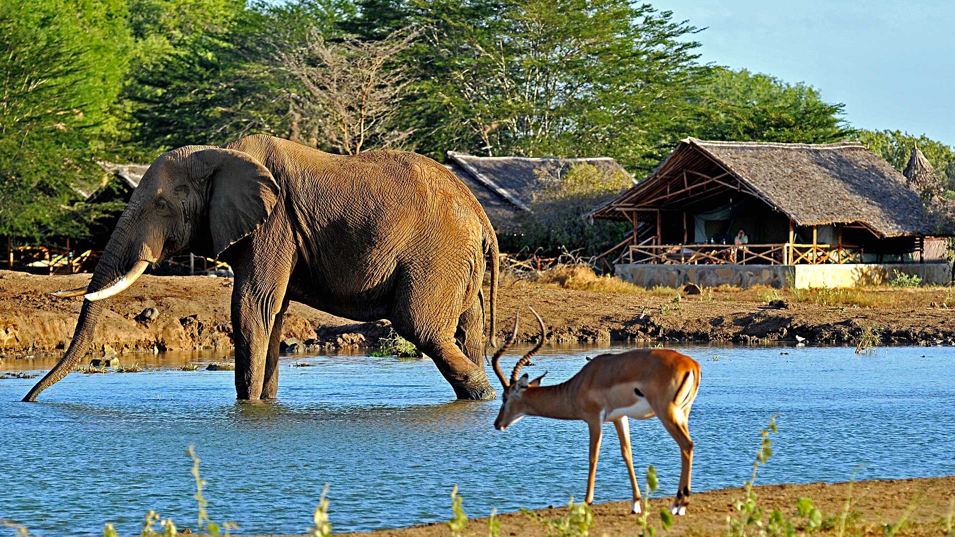 Satao Camp - image 10