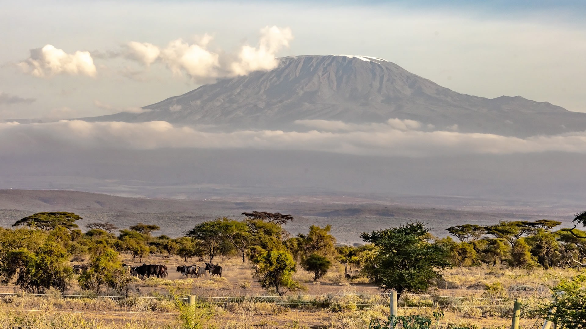 Kilimanjaro Viewpoint