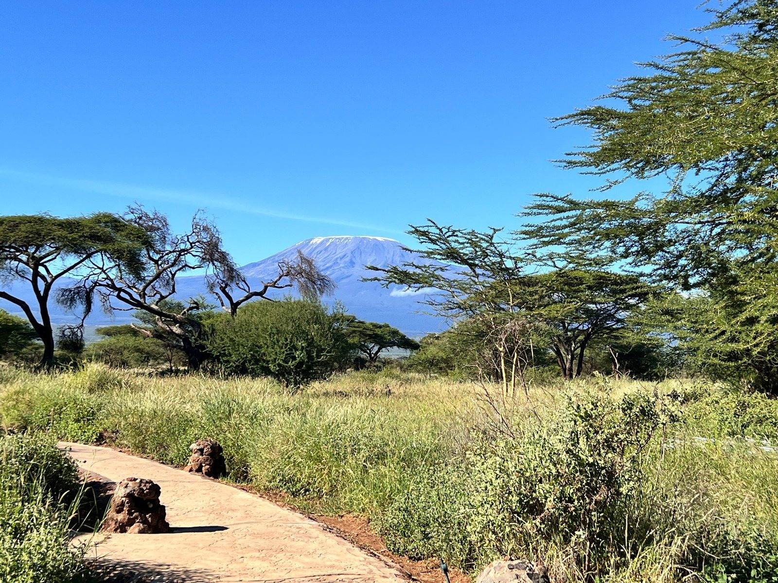 Kibo Safari Camp - image 9