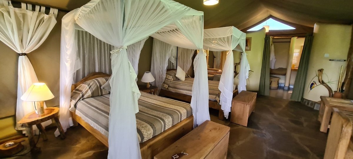Kibo Safari Camp - image 1