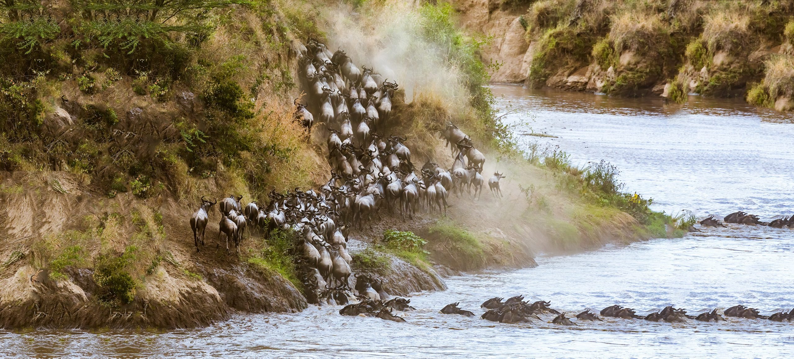 Great Migration