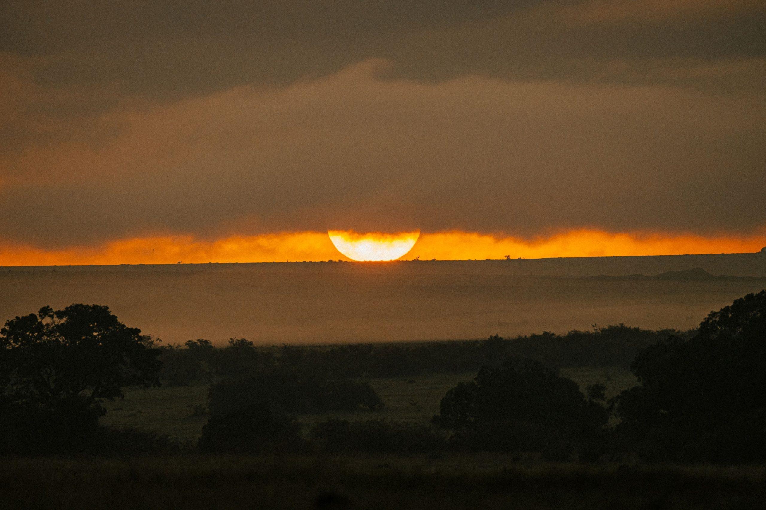 Night Game Drives