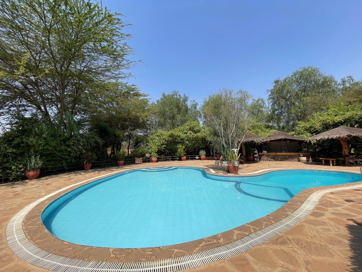 Kibo Safari Camp - image 4