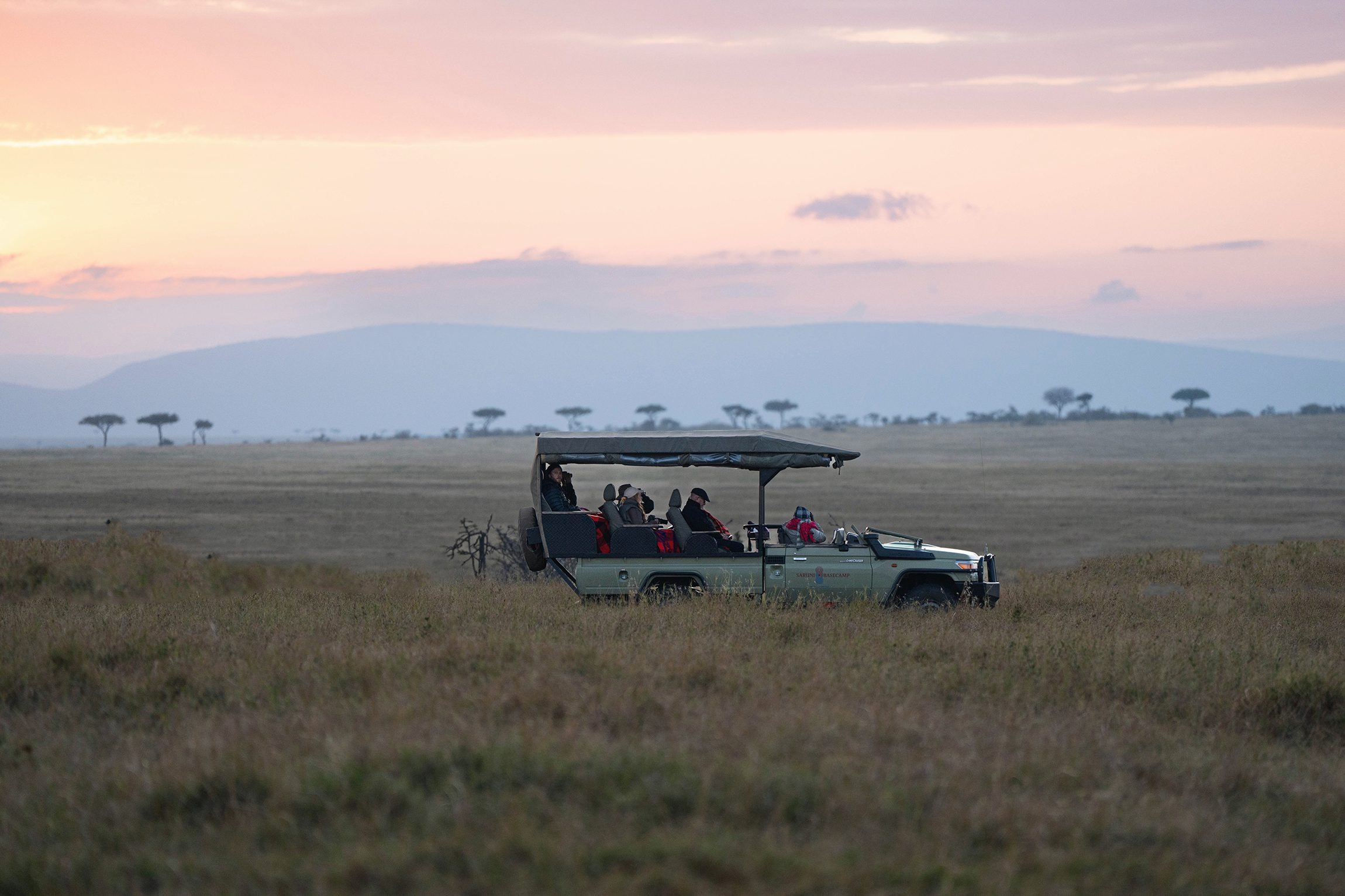 Game Drives: Naboisho's Big Cat Landscape