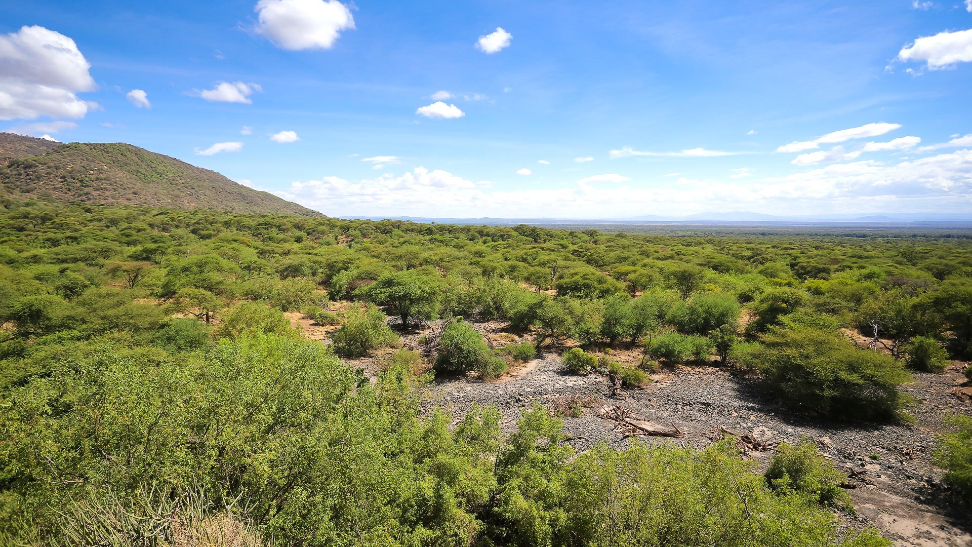 Lentorre Lodge - image 10