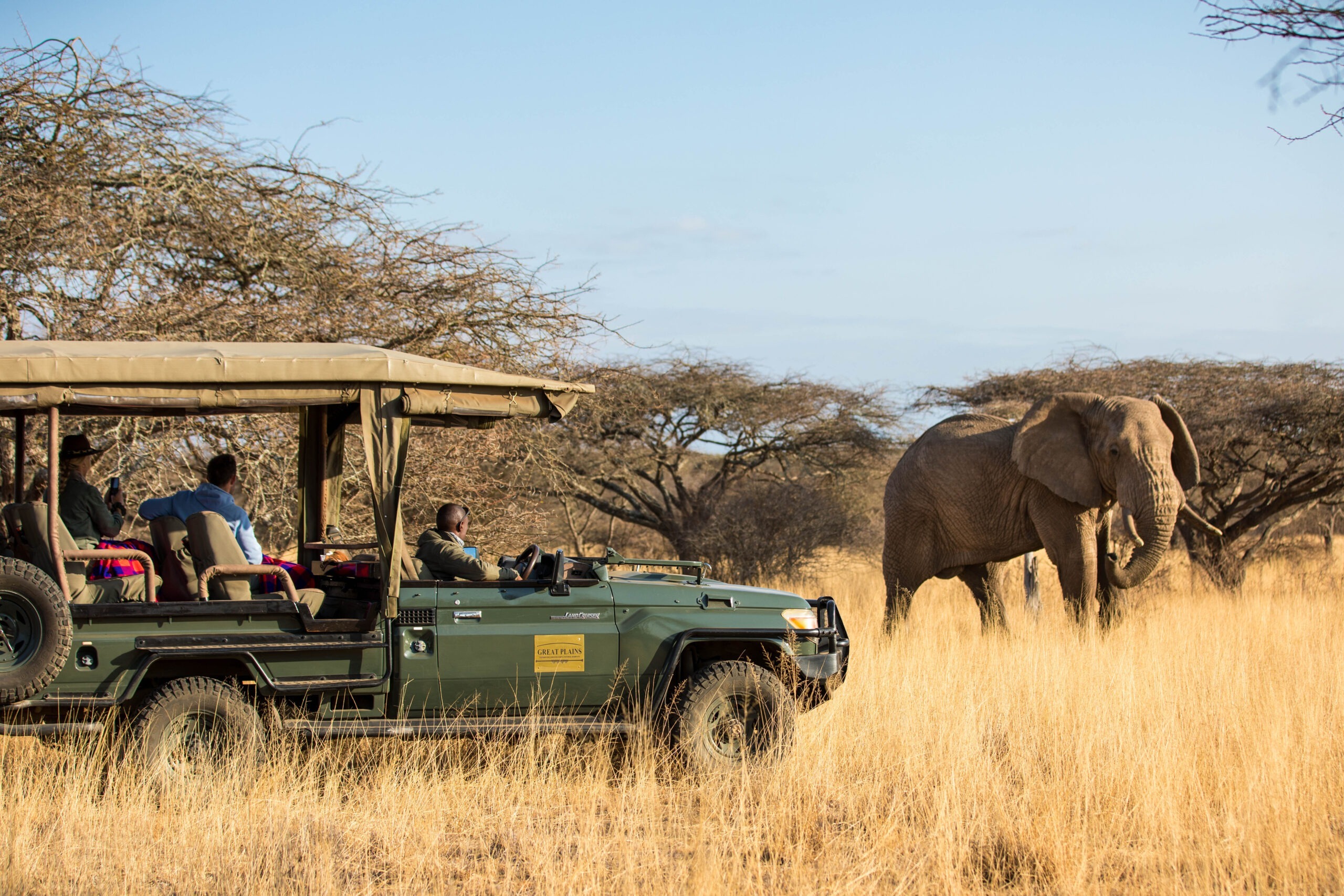 Game Drives, Day and Night