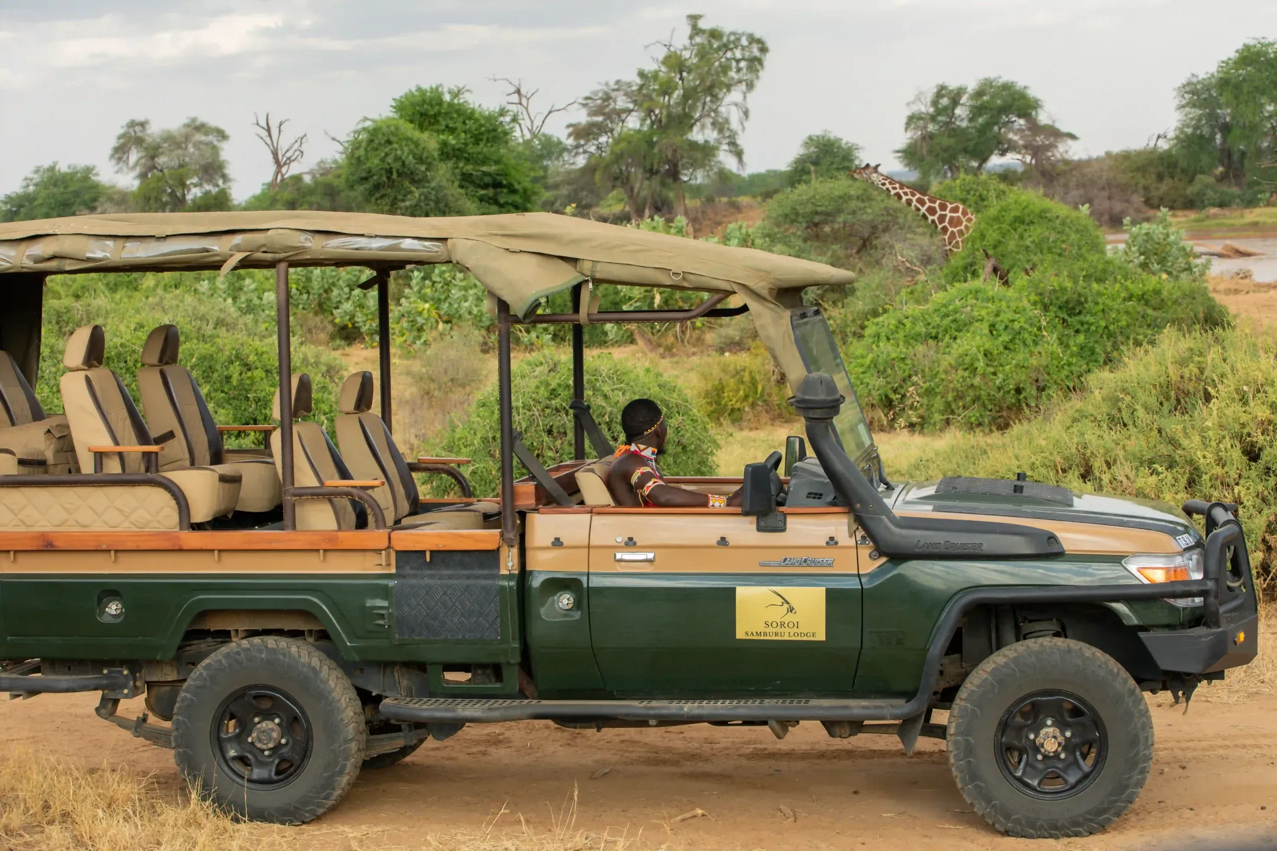 Night Game Drives