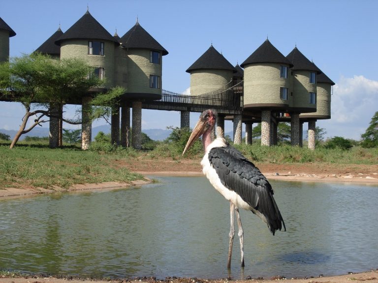 Salt Lick Safari Lodge, Taita Hills luxury lodge, Tsavo West