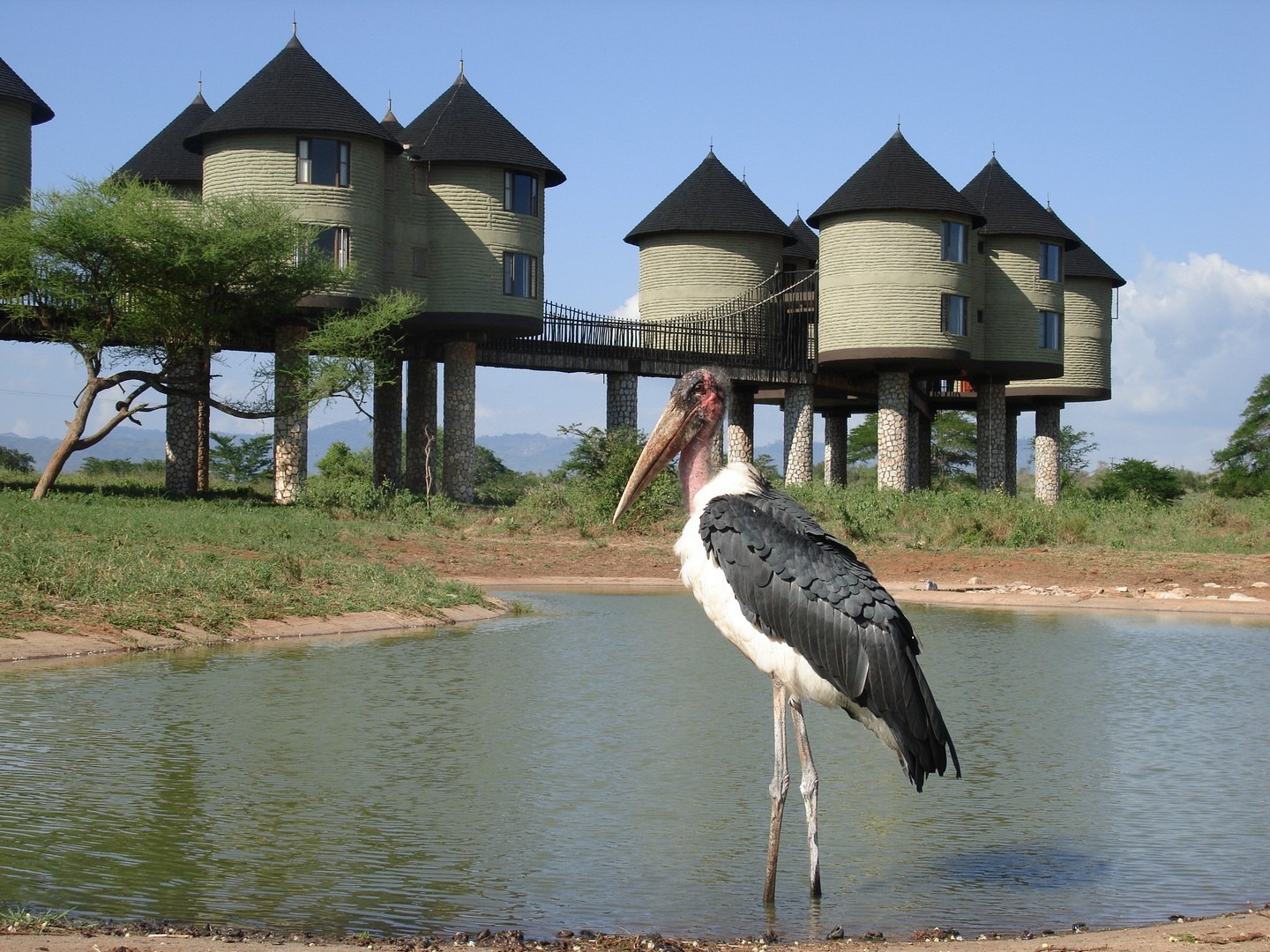 Salt Lick Safari Lodge, Taita Hills luxury lodge, Tsavo West